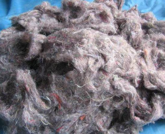 舊衣服做再生棉國家禁止嘛？再生棉衣服對人體有害嗎？